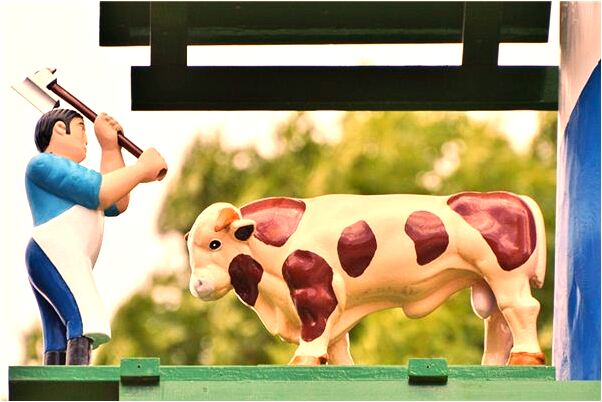 夢見去世的媽媽說我生的是兒子好不好_周公解夢官網