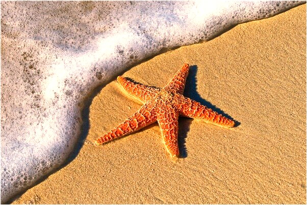 夢見過世的媽媽等著吃飯是什麼意思？_周公解夢官網