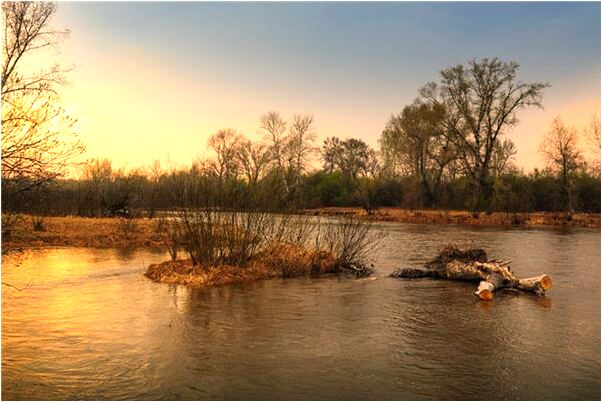 夢到了自己像死人要錢是什麼預兆_周公解夢官網