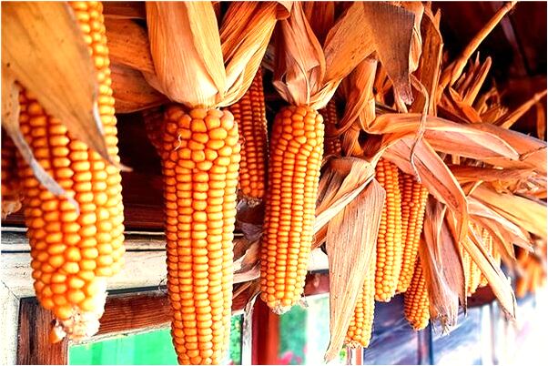 夢到了夢自己懷了別人的孩子是好事還是壞事_周公解夢官網