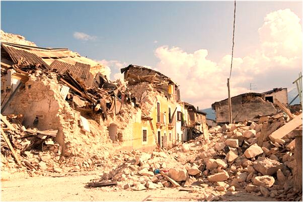 夢見被金龜咬了預示著什麼_周公解夢官網