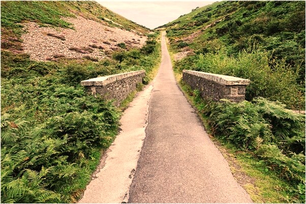 夢到自己流產有好多血預示了什麼_周公解夢官網