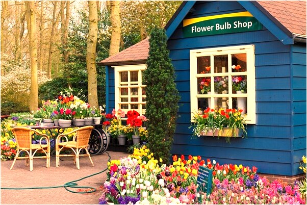 夢到了奶奶自己準備死去是不是好的徵兆呢_周公解夢官網