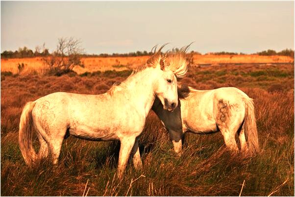 夢到自己女朋友跟人家上床是好事還是壞事_周公解夢官網