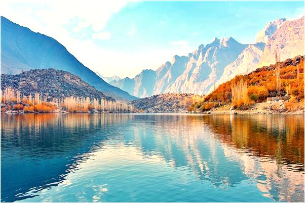 夢到了折桃枝有什麼徵兆_周公解夢官網