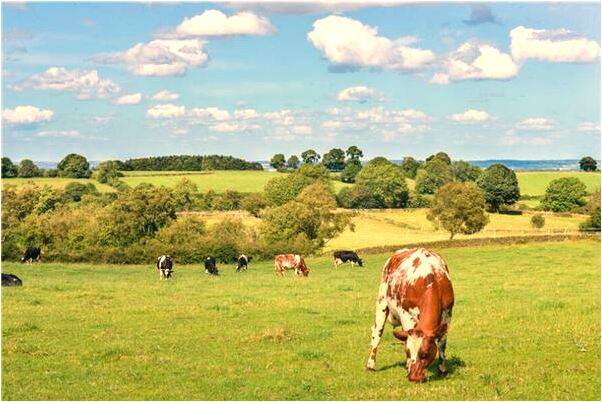 夢到自己出麻疹預示什麼_周公解夢官網