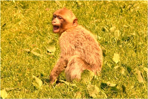 夢到了和別人坐在車裡聊天是什麼啟示_周公解夢官網