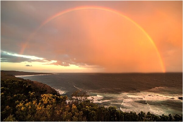 夢見在整理樹根是什麼徵兆_周公解夢官網
