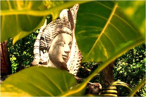 夢到父母生小弟弟是什麼啟示_周公解夢官網