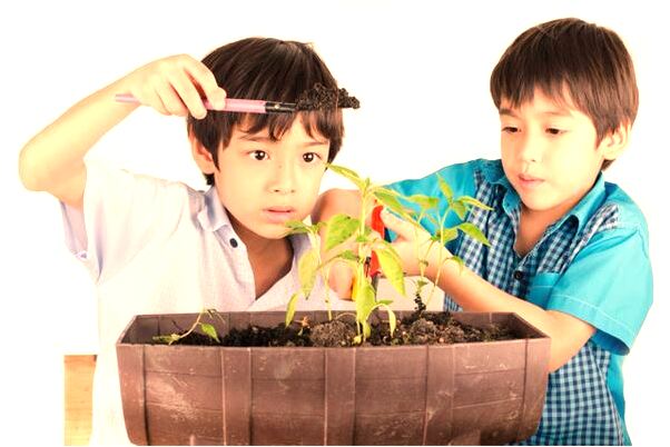 夢見舊情人生重病有什麼意思_周公解夢官網