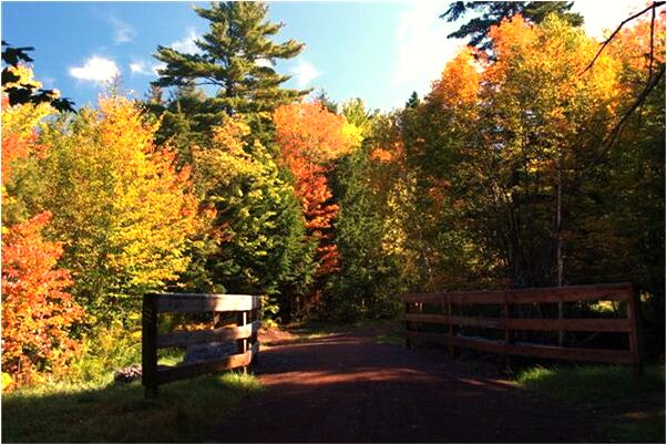 夢見明天的英文會是什麼預兆_周公解夢官網