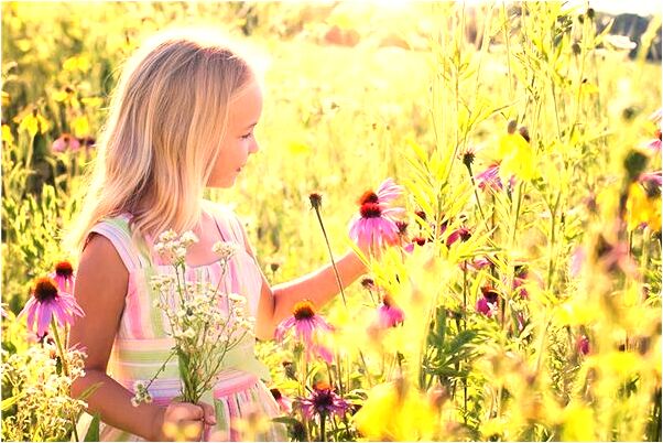 夢見我殺了幾個人預示著什麼_周公解夢官網