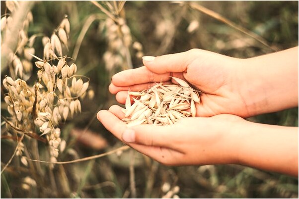 夢到血淋淋的人腦和人肋骨是什麼意思_周公解夢官網