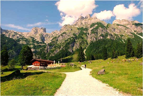 夢到了一河混濁的水是不是好的徵兆呢_周公解夢官網