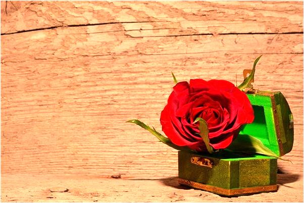 夢見夢裡與已死的父親一起吃飯好不好_周公解夢官網