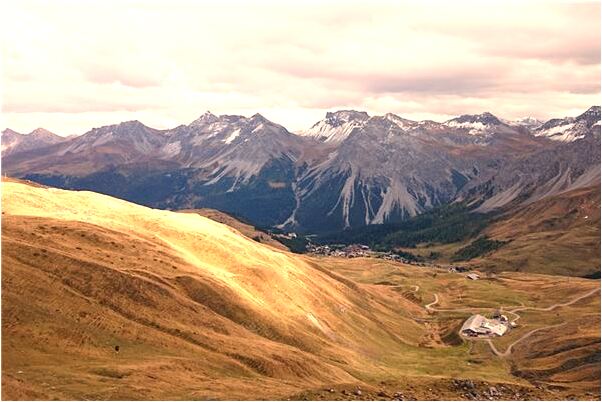 夢見跟別人假結婚預示了什麼_周公解夢官網