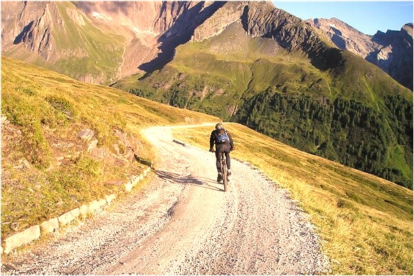 夢見一隻母雞和一隻公雞預示什麼_周公解夢官網