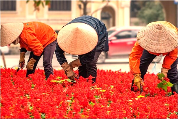夢到了穿自己的舊鞋什麼預兆_周公解夢官網