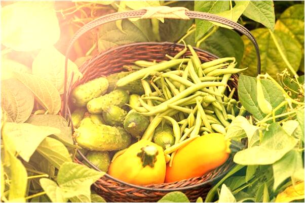 夢到了孔子歸位是什麼預兆？_周公解夢官網