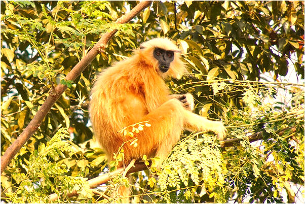 夢到了洗水果的預兆_周公解夢官網