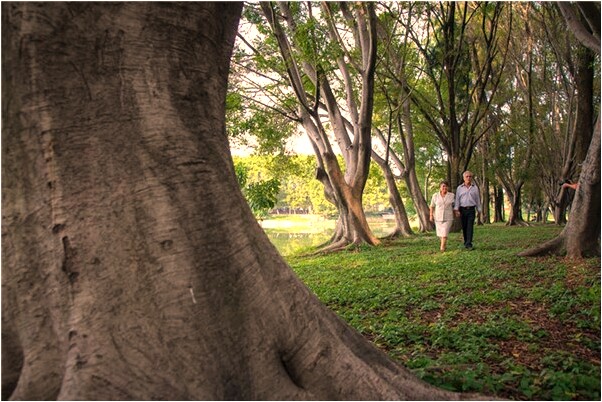 夢到了自己女朋友手淫是什麼預兆_周公解夢官網