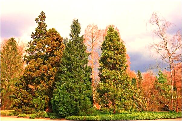 夢到了男友要結婚有什麼徵兆_周公解夢官網