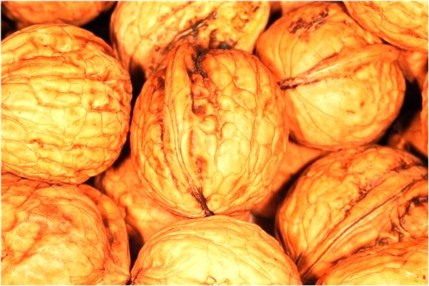 夢見挖了別人家祖墳是凶兆還是吉兆_周公解夢官網