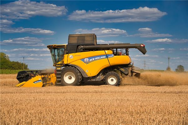 夢到了麥收是啥預兆_周公解夢