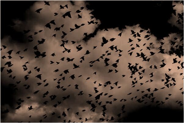 夢到女朋友生病要死有什麼寓意嗎_周公解夢官網