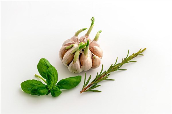 夢見拔蒜苗是什麼徵兆_周公解夢