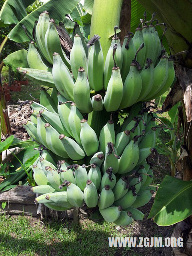 夢見在學校上課_周公解夢夢到在學校上課是什麼意思_做夢夢見在學校上課好不好_周公解夢官網