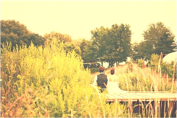 夢到了瓜藤爬的很高是什麼兆頭_周公解夢官網