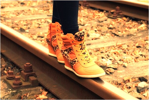 夢見好多蛇食指被咬破什麼寓意_周公解夢官網