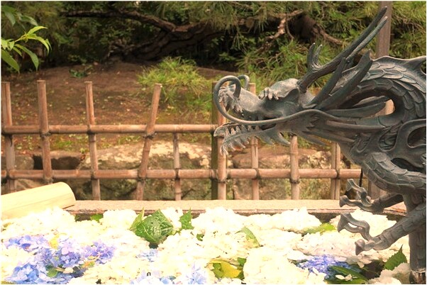 夢到買茶葉蛋是啥意思_周公解夢官網