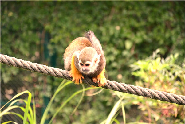 夢到腰中系棺材是好事還是壞事_周公解夢官網