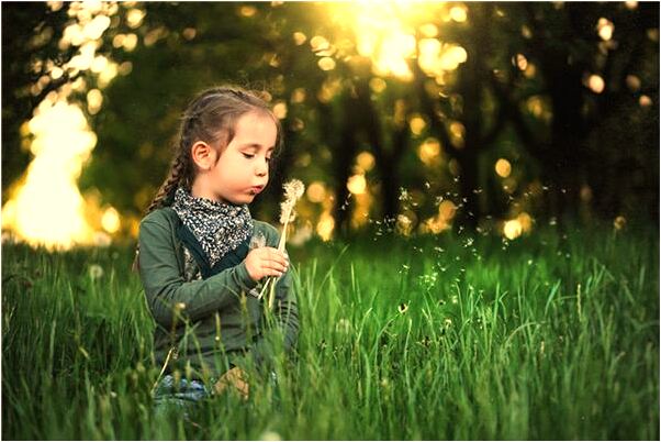 夢到切貓耳的預兆_周公解夢官網