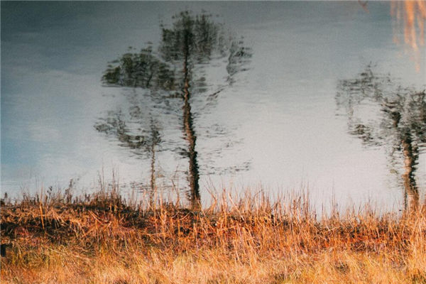 夢見髒水是什麼意思_周公解夢