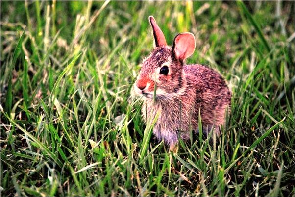 夢到自己即將死了有何寓意_周公解夢官網