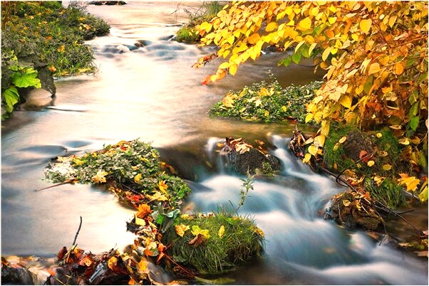 夢到了給妹妹買衣服有什麼徵兆_周公解夢官網