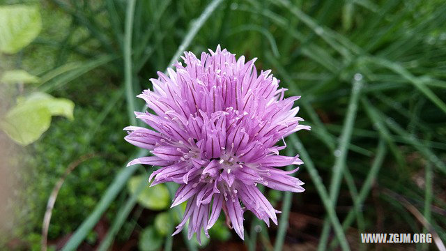 夢見爛房子_周公解夢夢到爛房子是什麼意思_做夢夢見爛房子好不好_周公解夢官網