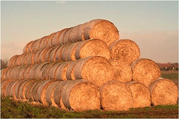 夢到讓公車給撞了意味什麼_周公解夢官網