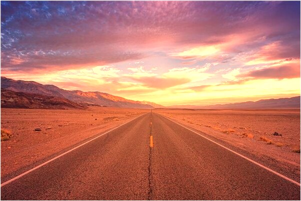 夢到了被貓咬打死貓是怎么回事_周公解夢官網