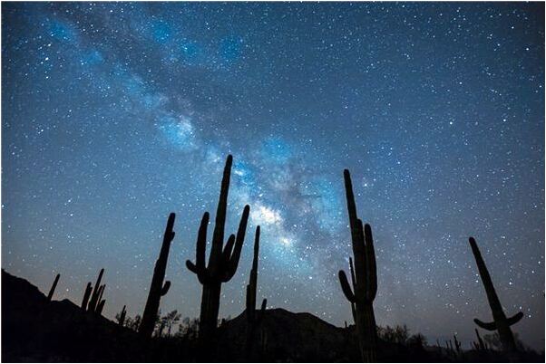 夢見別人領養的男孩眼睛好小代表著什麼?_周公解夢官網