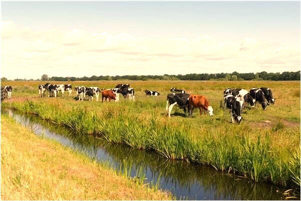 夢到地震了土房倒塌逃生是好是壞_周公解夢官網