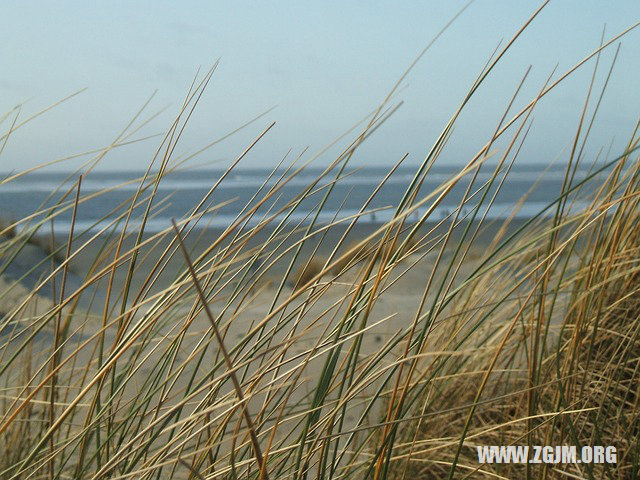 夢見給死去的親人燒紙_周公解夢夢到給死去的親人燒紙是什麼意思_做夢夢見給死去的親人燒紙好不好_周公解夢官網