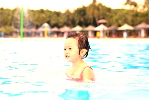 夢到了捉烏龜甲魚啥意思_周公解夢官網