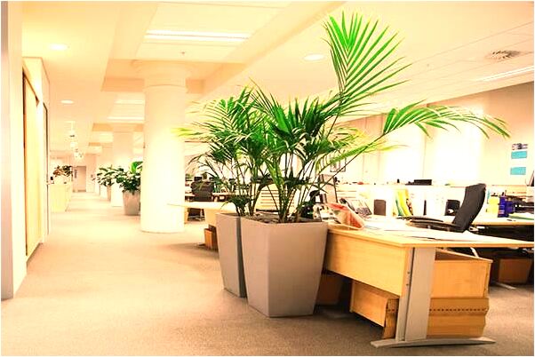 夢到自己爬陡峭的山怎么說_周公解夢官網