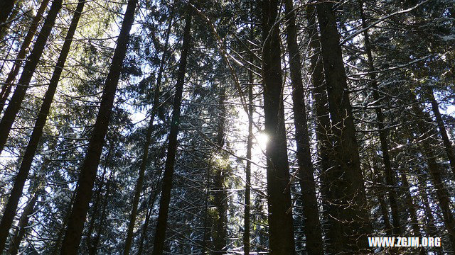 夢見問路有人指路_周公解夢夢到問路有人指路是什麼意思_做夢夢見問路有人指路好不好_周公解夢官網