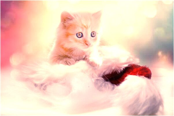 夢到高中時期是什麼兆頭_周公解夢官網