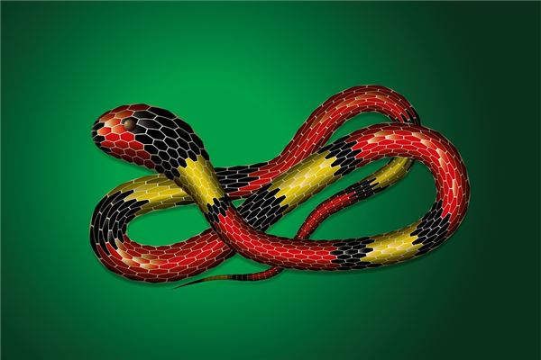 夢見碰見小蛇有什麼寓意嗎？_周公解夢